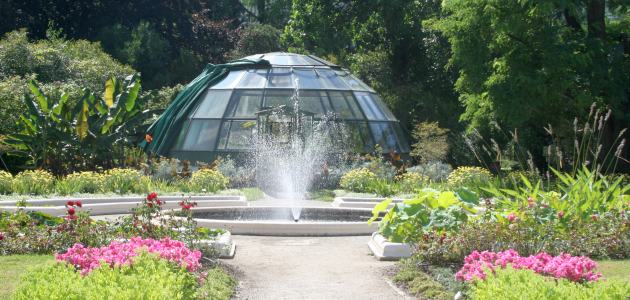 Modernizacija izložbenih staklenika u Botaničkom vrtu